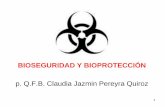 BIOSEGURIDAD Y BIOPROTECCIÓN - [DePa] …depa.fquim.unam.mx/amyd/archivero/1Bioseguridadclaus_10267.pdf · • Criptococcus neoformans
