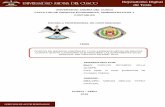 UNIVERSIDAD ANDINA DEL CUSCO FACULTAD DE …repositorio.uandina.edu.pe/bitstream/UAC/780/3/Carlos_Tesis_ba... · ESCUELA PROFESIONAL DE CONTABILIDAD TESIS HOSPITAL DEL DISTRITO SICUANI
