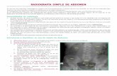 Radiografía Simple de Abdomen - medicina-ucr.com · abdomen#recomiendair#buscando#órganos#y#analizarlos,#pero#esto#es#sumamentepersonal.# # Generalidades de radiología ... •