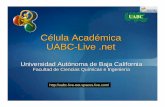 Universidad Autónoma de Baja Californiailluminatus.bizhat.com/uabc-live.net/2007-1/PPTsesion5.pdf · Refinar el diagrama de la arquitectura ... Seguridad en Componentes Atributos