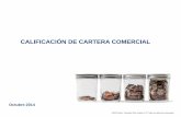 CALIFICACIÓN DE CARTERA COMERCIAL - …conacre.com.mx/presentaciones/4.presentacion-ricardo-solorzano... · 1.Se establece el aforo de la garantía: Aforo= Garantía Valor del Crédito