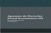 FICHA TÉCNICA - ICED - Instituto de Consolidación …€¦ · PRESENTACIÓN Este volumen de “Apuntes de Derecho Penal Económico” representa el último capítulo de una trilogía