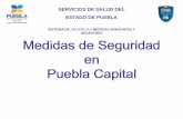 SERVICIOS DE SALUD DEL ESTADO DE PUEBLA - …conapra.salud.gob.mx/Interior/Documentos/Info_Puebla2015.pdf · QUE HACER EN CASO DE INCENDIO EN CASO DE CONATO: ... Es una verdadera
