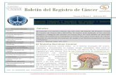 Boletín del Registro de Cáncer - Estadísticas.PR · 1 AUTORIZADO POR LA COMISIÓN ESTATAL DE ELECCIONES CEE-SA-12-11483 Tumores Cerebrales Cerebrales El Sistema Nervioso Central