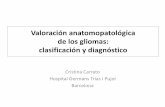 Valoración anatomopatológica de los gliomas: …. Cristina Carrato... · • La OMS clasifica los tumores del SNC en tipos histológicos y grados de malignidad • El tipo histológico