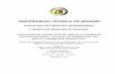 UNIVERSIDAD TÉCNICA DE MANABÍ - …repositorio.utm.edu.ec/bitstream/123456789/739/1/EVALUACION DE... · Evaluación del Amoniaco en Cuatro Tipos de Camas en la crianza de Pollos