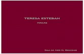 TERESA ESTEBAN - brocense.com · Desde un punto de vista puramente formal, lo primero que se observa en su ... inmediato que pueda mostrar la importancia, la pertinencia y la dignidad