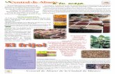 Central de Abasto - CEDAficeda.com.mx/content/tips/leguminosas/frijolya.pdf · forrajes, semilla, grano seco y para ejote. El frijol embolsado o encosta-lado es una presentación