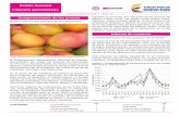 Reducción en los precios de los alimentos - dane.gov.co · no de El Niño y se reportaron temperaturas bastante altas en las zonas productoras, que incidieron tanto en la formación