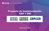 Proyecto de Implementación SAP + DSI - asug.org.ar · Generación automática del plan de Producción a partir de las Ordenes de Venta confirmadas. Volumen de OF mensuales > 3000