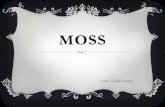 MOSS - elrincondelamotivacion.weebly.com · El test de Moss es una prueba de adaptabilidad social de 30 preguntas, y evalúa el grado en que una persona se comporta en situaciones