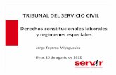 TRIBUNAL DEL SERVICIO CIVIL - inst.servir.gob.peinst.servir.gob.pe/files/archivos/ProgramaEntrenamientoTSC-2012-08/... · Jorge Toyama Miyagusuku TRIBUNAL DEL SERVICIO CIVIL Derechos