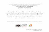 Estudio del perfil metabólico de las razas Ibérica y … · Estación Experimental del Zaidín (EEZ) Departamento de Fisiología y Bioquímica de la Nutrición Animal (INAN) y .