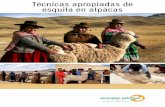 Técnicas apropiadas de esquila en alpacas · Técnicas apropiadas de esquila en alpacas 9 1. Presentación En el Perú, la región Cusco, después de Puno, es la segunda con mayor