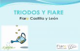Fiare Castilla y León - | Blog de Asociación Fiare ... · La Fundación Fiare y sus asociaciones miembros asumen su papel dinamizador ... Vitoria 89.984 448.147 358.163 398,03%