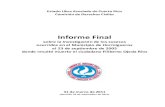 Comisión de Derechos Civiles de Puerto Ricorec-eph.gfrcdn.net/docs/2012/02/02/120202informefinalfilibertoojed... · donde resultó muerto el ciudadano Filiberto Ojeda Ríos . ...