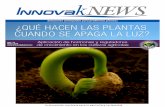 Soluciones anticipadas para problemas precisosinnovakglobal.com/periodicos_pdf/periodico_innovak_mayo10.pdf · Las plantas tienen un sistema de regulación de su propio desarrollo