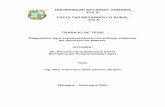 UNIVERSIDAD NACIONAL AGRARIA U.N.A …repositorio.una.edu.ni/784/1/tne16s689.pdf · Managua – Nicaragua 2005. El contenido de este trabajo ha sido presentado en su forma, al consejo