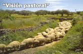 “Visión pastoral” - Editorial La Paz. Sana doctrina ... cien ovejas.pdf · Eran cien ovejas que había en el rebaño, eran cien ovejas que amante cuidó. Pero en una tarde al