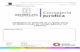 marcojuridico.morelos.gob.mxmarcojuridico.morelos.gob.mx/archivos/varios/word/LUNI…  · Web viewlineamientos de operaciÓn de la unidad bÁsica de rehabilitaciÓn del sistema municipal