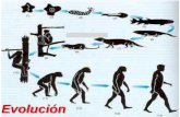 Presentación de PowerPoint - ssccmanquehue.cl°Medio/Biología/Evolucion-IV... · manera espontánea a partir de materia orgánica, inorgánica o una combinación de ambas. Para