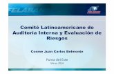 Comité Latinoamericano de Auditoría Interna y … · Auditoría Interna y Evaluación de Riesgos. Cosme Juan Carlos Belmonte –Punta del Este – Marzo 2014 Objetivos Principales