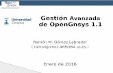 Gestión Avanzada de OpenGnsys 1 - Inicioramon/articulos/GestionOpengnsysUnizar.pdf · Comandos del sistema ... Linux RAID y LVM LINUX-RAID, LINUX-LVM LINUX-RAID, LINUX-LVM Para Windows