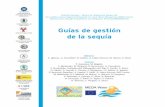 Guías de gestión de la sequía - projects.iamz.ciheam.orgprojects.iamz.ciheam.org/medroplan/guidelines/archivos/guidelines... · Especificación del concepto de riesgo en los sistemas