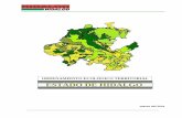 ORDENAMIENTO ECOLÓGICO TERRITORIAL ESTADO DE …201.99.98.88/documentos/Estatal/Propuesta_Estatal.pdf · ecológico que desempeñan en el mantenimiento de los geosistemas. La gestión
