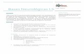 Bases Neurológicas I - Aytona Formación Aytona ...€¦ · las bases Neuroanatómicas y Neurofisiológicas que sustentan la teoría y ... y los problemas motores, organización