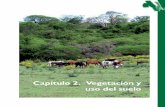 Capítulo 2. Vegetación y uso del suelo - Iniciocentro.paot.org.mx/documentos/semarnat/informe_mex2005/cap2.pdf · también bosques de latifoliadas. Se les encuentra sobre todo en