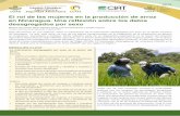 El rol de las mujeres en la producción de arroz en ...ciat-library.ciat.cgiar.org/Articulos_Ciat/biblioteca/CCAFSGRiSP... · por sexo, las preguntas filtros - que delimitan usualmente