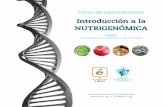 Introducción a la NUTRIGENÓMICA - senpe.comsenpe.com/documentacion/29-curso-de-especializacion-introduccion-… · fluencia de nutrientes específicos sobre ellos • El concepto