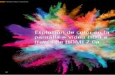 Explosión de color en la pantalla – vídeo HDR a través … · 2016-11-30 · tacular desde el punto de vista de la percepción de la imagen. ... grama o una película) se emplea
