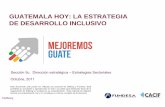 GUATEMALA HOY: LA ESTRATEGIA DE …mejoremosguate.org/cms/content/files/biblioteca/est-desarrollo... · - Forestal, hule, madera y papel - Bebidas - Avicultura ... Conceptualización