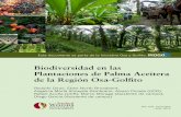 Biodiversidad en las Plantaciones de Palma Aceitera de la ...inogo.stanford.edu/sites/default/files/Biodiversidad en... · tiempo que asegurar, a largo plazo, la salud de los recursos