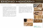 EncinoMexicano - Pisos de madera · encino mexicano resistenciaa compresiÔn paralela chio-15 [n/mm2] resistenciaa flexiÓn chio-15 [n/mm2] mÓdulo de elasticidad (flexiÓn) cizallamiento