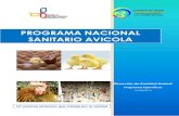 PROGRAMA NACIONAL SANITARIO AVICOLA - … · Dirección de Sanidad Animal Programas Específicos 07/08/2013 PROGRAMA NACIONAL SANITARIO AVICOLA Un sistema dinámico que trabaja por