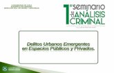 Delitos Urbanos Emergentes en Espacios Públicos y …dac.carabineros.cl/archivos/11-delitos_urbanos_emergentes.pdf · la banda criminal y la cantidad de hechos relacionados. ...