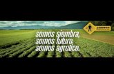 Importancia de la calidad del agua - AGROTICOagrotico.net/web/ServicioTecnico/pH en agua y fertilizantes (arroz... · según la movilidad del elemento dentro de la planta Hojas nuevas