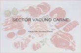 SECTOR VACUNO CARNE - Universidad de Castilla - La … WEB-PAC/Trabajos... · 14 Nueva Zelanda 697.064 15 Sudáfrica 633.488 ... miembros muy especializados en la producción de carne