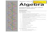 Apuntes sobre el Sólo para Distribución Álgebra Gratuita.quelamatenotemate.webs.com/Mi libro de Apuntes... · ejemplo, un problema de la física— puede ser resuelto re-presentando