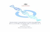 ESTUDIO GENÉTICO DE DIABETES EN LA …gredos.usal.es/jspui/bitstream/10366/76497/1/DME_Gonzalez_Ruano_E... · estudio genÉtico de diabetes en la poblaciÓn de castilla y leÓn tesis