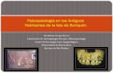 Paleopatología en los Antiguos Habitantes de la Isla de ...cohemis.uprm.edu/espa/docs/P08_ECrespo.pdf · terapéutica en la prehistoria. Descriptivo . y Macroscópica Microscópica: