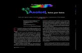 AxolotlAAxolotlx letra por letra - Revista Ciencia · esculturas y figuras de jade, piedra y otros materiales, ... el buscador de la plataforma, encontramos que de 1991 ... con sus