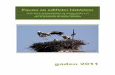 gaden 2011 - ciencias-marinas.uvigo.es · Otras aves 37 3.12 Grado de protección de las especies descritas 40 4. Planificar la restauración 41 5. ... Colocación de cajas nido 61