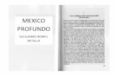 PROFUNDO - freewebs.com CON... · económicO de un vastO territorio que en algunas épocas reba- saba las actuales fronteras de México. El poder de IOS valles centrales como punto