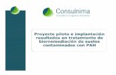 Proyecto piloto e implantación resultados en … · Caracterización adicional (Informe de situación). 25.000m2 2.-.-Análisis de riesgos y Estudio de alternativas de descontaminación