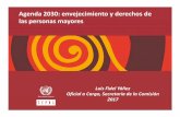 Agenda 2030: envejecimiento y derechos de las … · distinguiendo entre los niños, los desempleados, los ancianos, ... la implementación de la Agenda 2030 y promover las prioridades