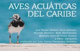AVES ACUÁTICAS DEL CARIBE - birdscaribbean.org · áreas dependen más y cómo sus poblaciones cambian año ... es una detallada instantánea de las poblaciones de aves que puede